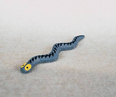 Serpent, 6 cm * (Type 1)